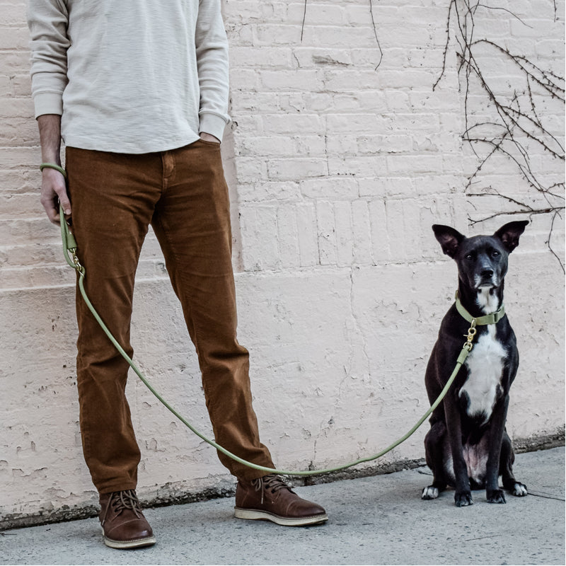 Infinity Dog Leash